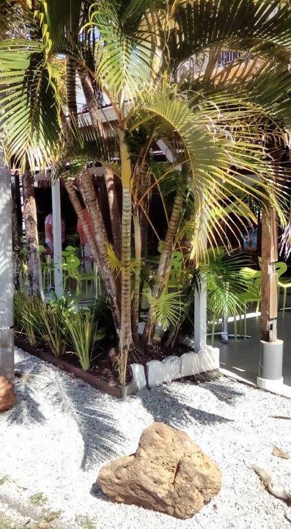 Hotel Des Amandiers Cayenne Exterior foto